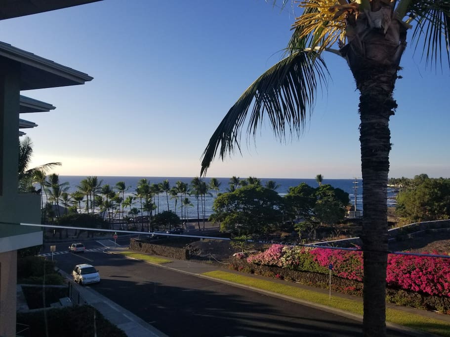 View from the lanai