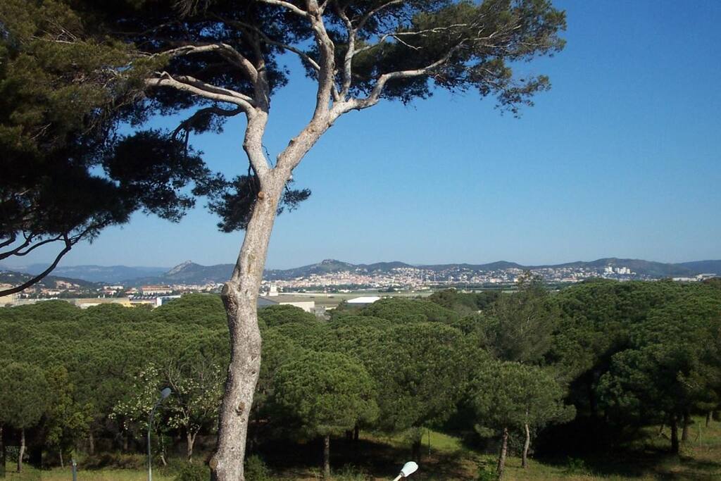 Vue dégagée