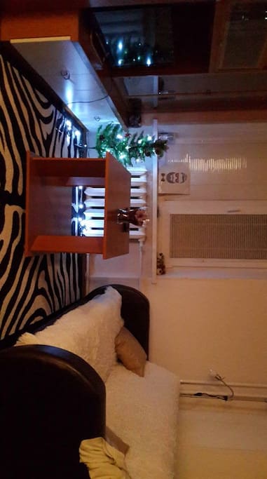 main room (bed couch & TV)