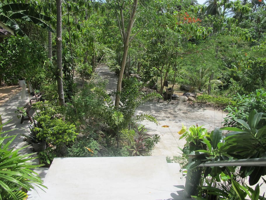 Samui's secluded hideaway place with clean, comfy lodge for two and a lot of green space where you can set up camping (for extra ppl). Also provided: Inclusive B/F with free-range, organic eggs and space with a great sea view for a private party or bonfire.