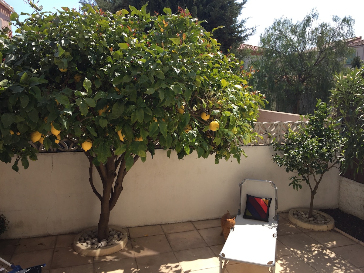 A private outdoor space features a lemon tree with ripe fruit and a smaller tree. A sun lounger is positioned on a tiled patio, surrounded by compact stones and low greenery, offering a serene area for relaxation.