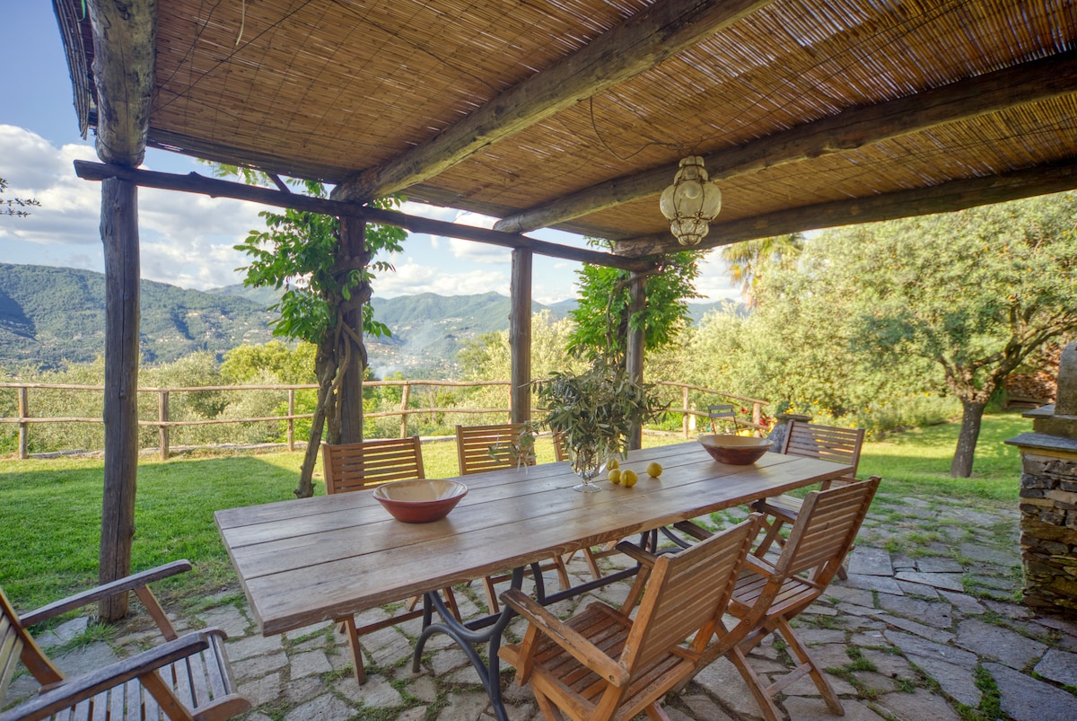 Villa Ulivo — view 3