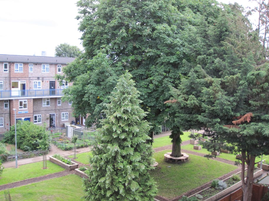 communal greenspace