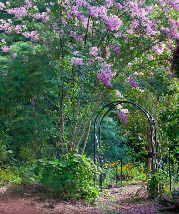 Entrance to our garden