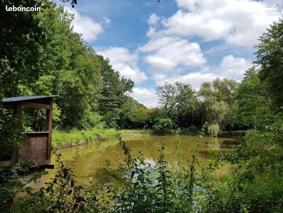 L'étang de peche