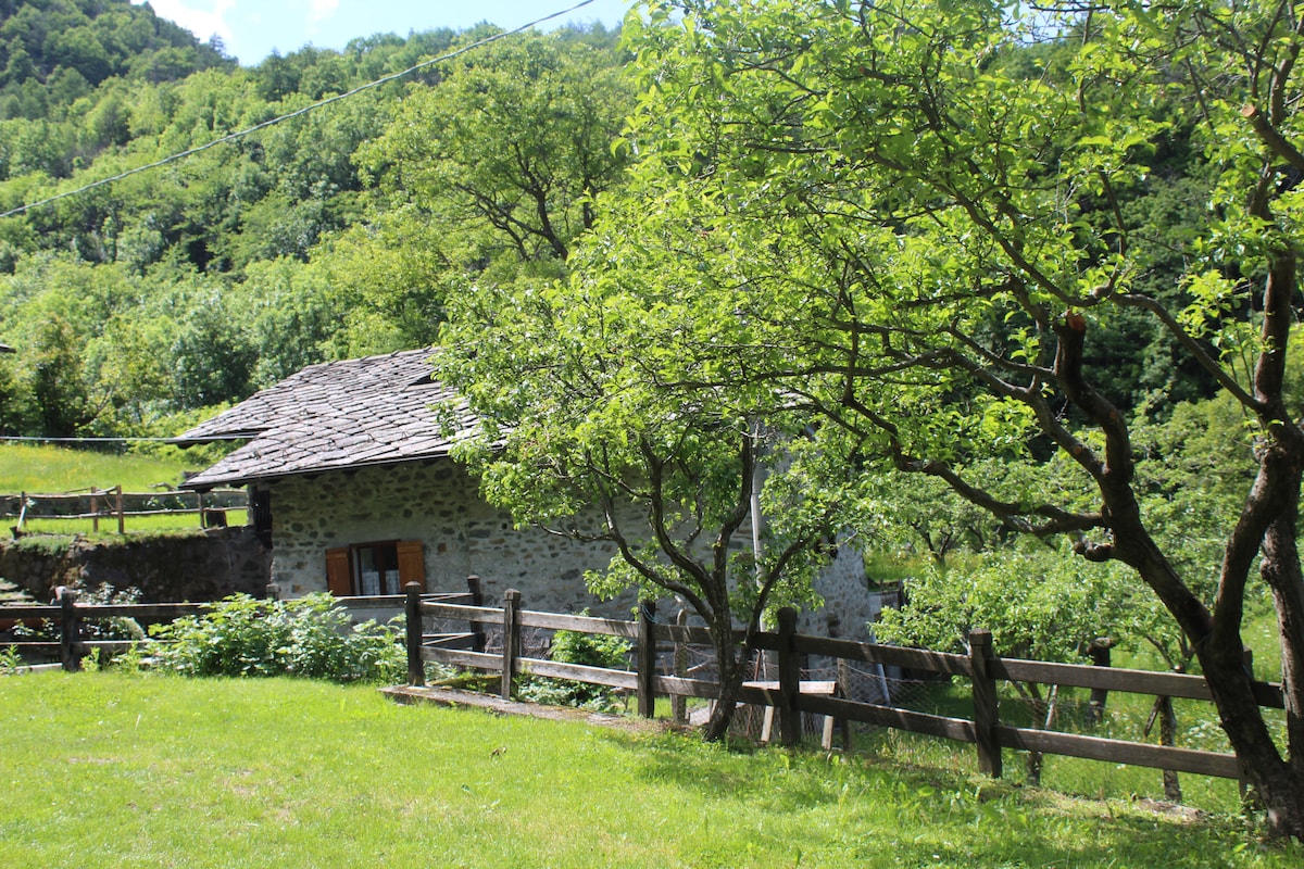 A rustic stone house surrounded by greenery is situated among lush trees and open fields. A wooden fence encloses the property, while sunlit patches of grass add to the natural landscape. The charming structure features wooden shutters and a traditional sloped roof.