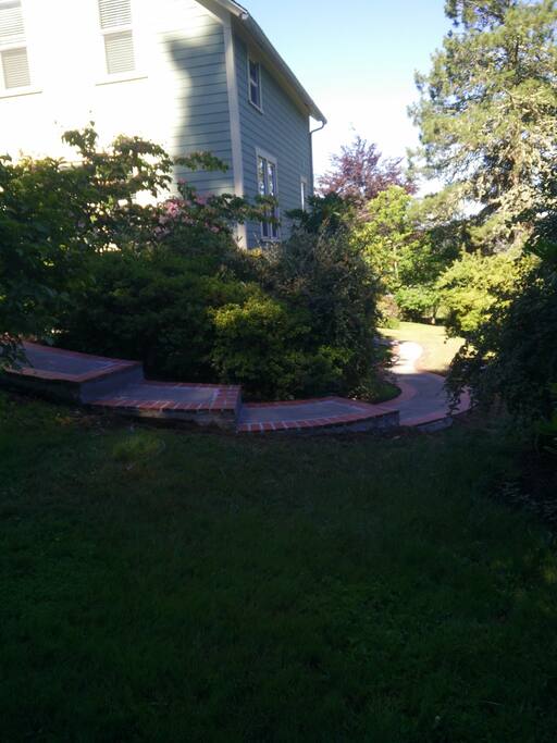 Walking Path continued