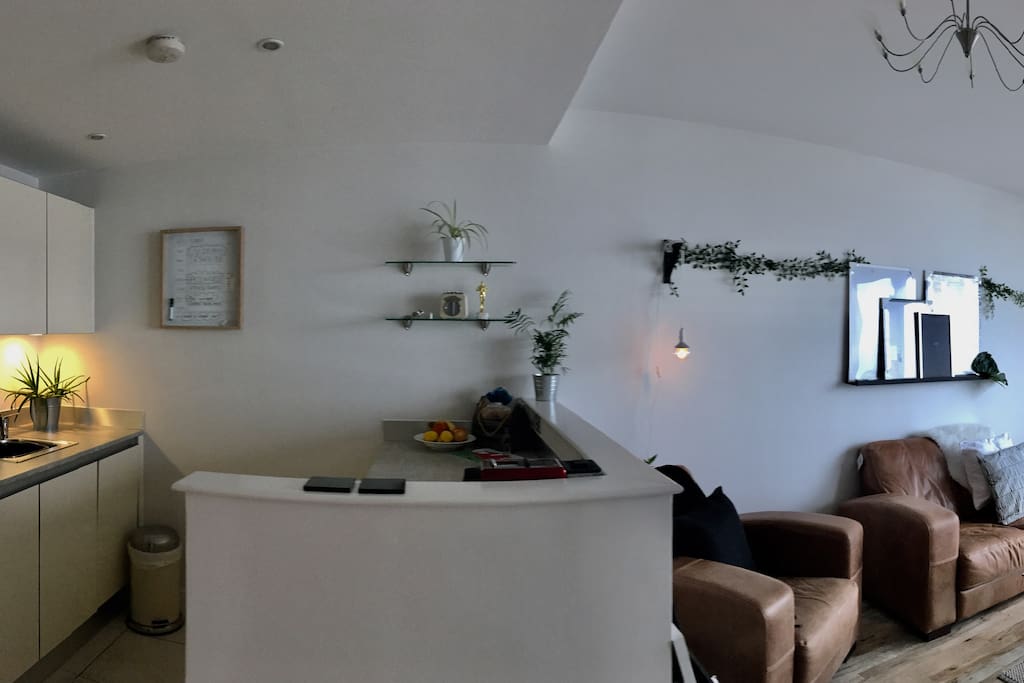Kitchen/Living Room