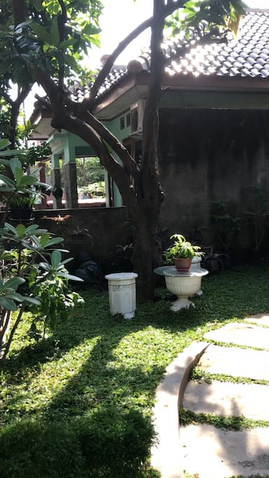 Taman minimalis yang rindang