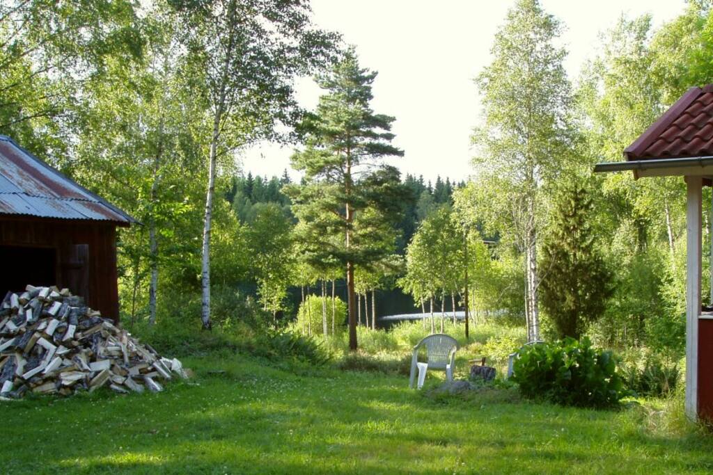 Lake view from house