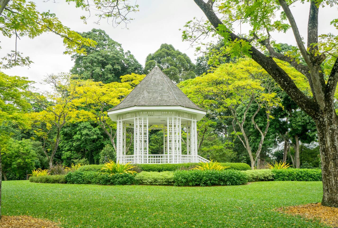 Botanical Garden Cozy Room By Beautiful Natures Apartments For