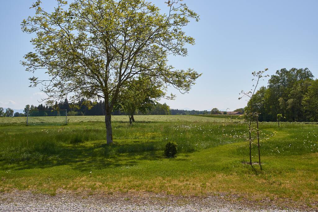 Aussicht/view over