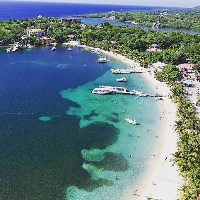 Your unit is at the top of the picture by the yellow roof! You can swim to the 2nd largest reef in the world within a minute of entering the ocean!!