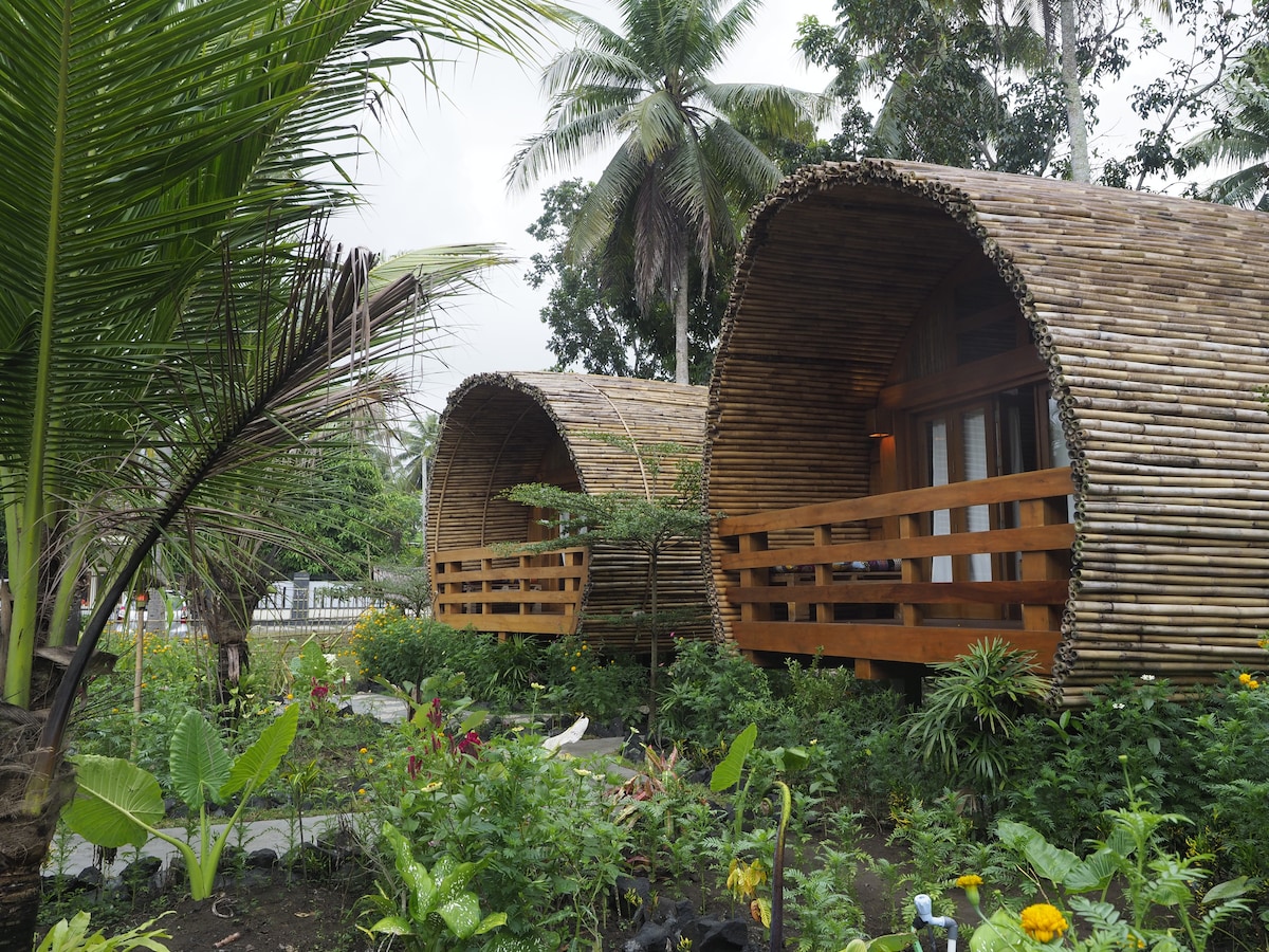 Two uniquely designed bungalows are nestled among lush greenery, constructed from bamboo with rounded shapes. Each bungalow features a wooden balcony that overlooks a vibrant garden filled with tropical plants, providing a serene environment in a natural setting.