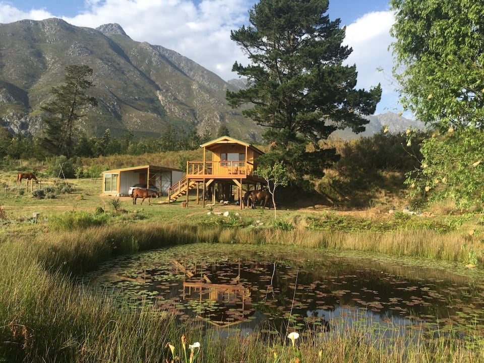 An off-grid treehouse in the Hermitage Valley, Swellendam, Western Cape, South Africa, photo 1 of 10