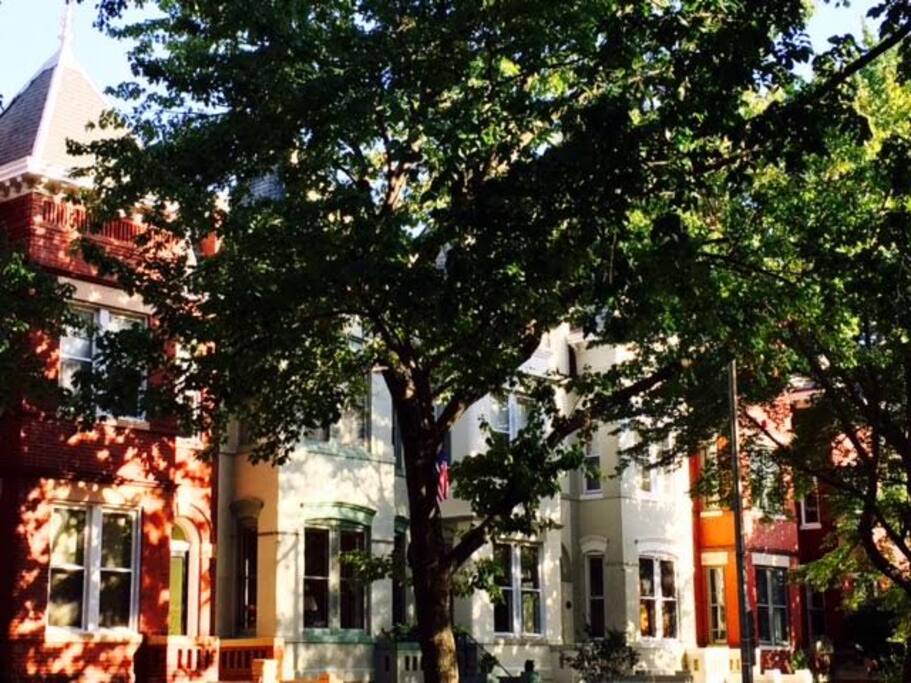 Our beautiful block!