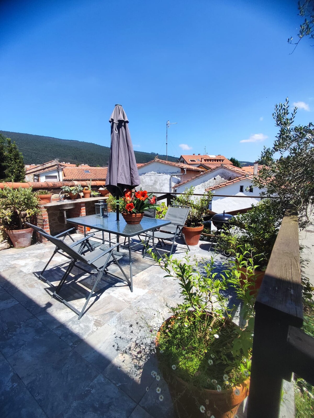 A terrace area is presented, featuring a table surrounded by four chairs. A large umbrella provides shade, and vibrant flower pots add color to the space. The backdrop includes scenic rooftops and mountains under a clear blue sky, creating a serene environment.