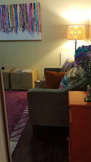 TV room