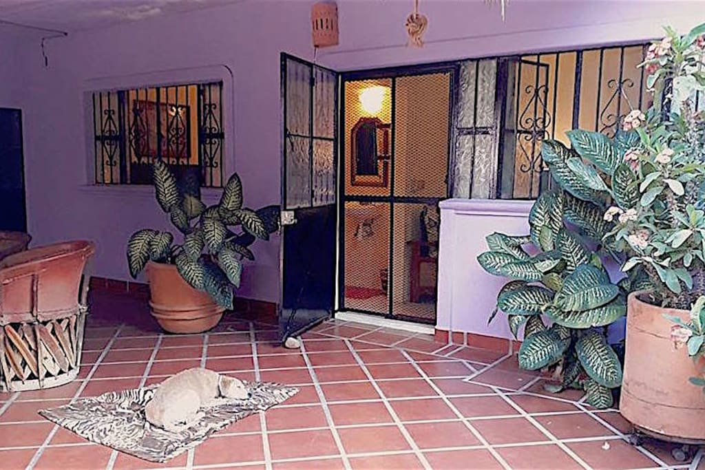 Entrance to the Guest Suite - with
one of my dogs taking a nap!