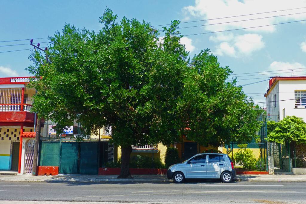 Casa junto a una céntrica calle de Playa, en un tranquilo barrio de La Habana