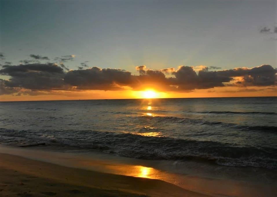 Beach opposite the house