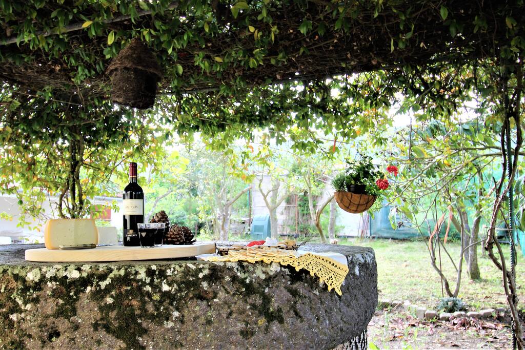 Cortile ingresso con pergolato, perfetto per i momenti di relax, colazioni pranzi e cene