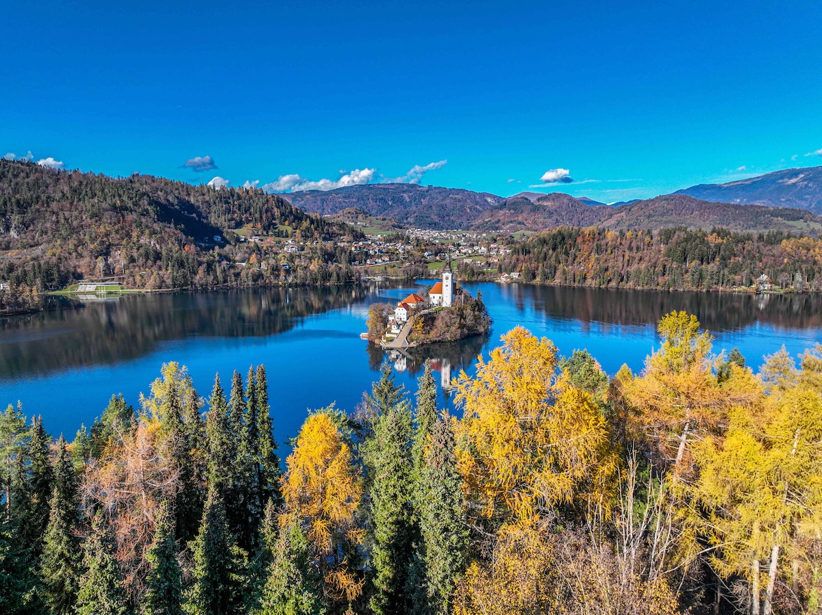 A serene lake scene captures a small island featuring a quaint church. Surrounding trees exhibit autumn colors, with golden shades contrasting against deep greens. The calm water reflects the vibrant landscape, while distant mountains frame the horizon under a clear blue sky.