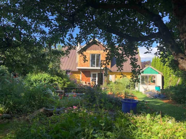 500+ Courtenay Vacation Rentals Apartments and Houses Airbnb