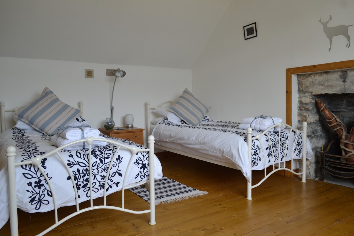 Воздушеста спална соба со два кревета