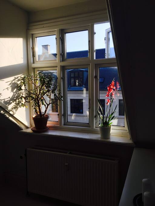 View from room