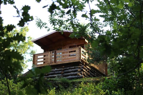 Bracchio Vacation Rentals & Homes - Piemonte, Italy | Airbnb