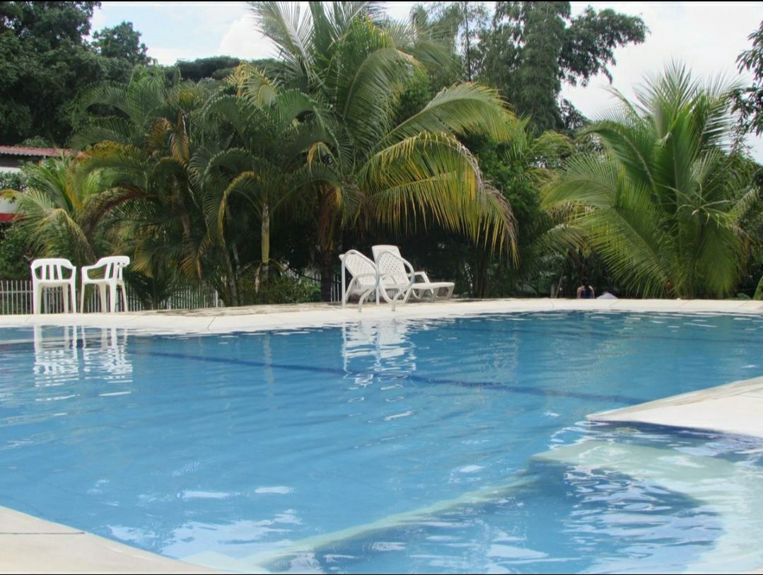 A private outdoor pool is surrounded by lush tropical vegetation, featuring several lounge chairs on a sun deck. The crystal-clear water reflects the greenery and the blue sky, providing a serene setting for relaxation.
