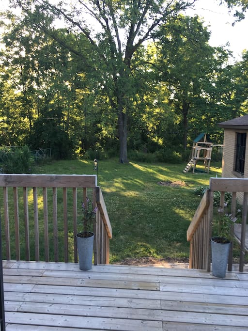 Our back yard attracts many birds and is a quiet place to sit and enjoy nature.
