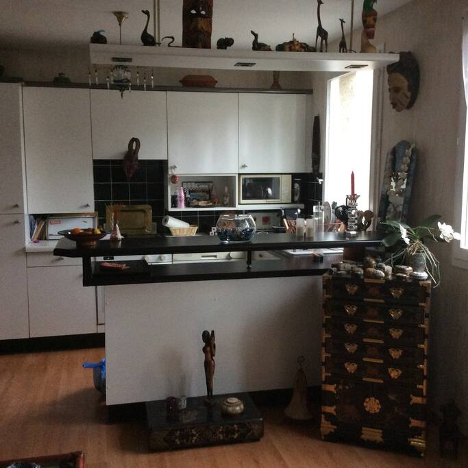 Vue sur la cuisine ouverte