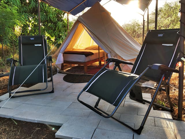 Kapila Gardens Glamping - On Private Mango Orchard