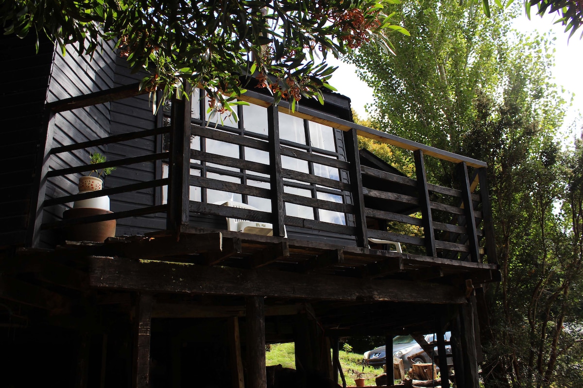 A wooden balcony extends from the black exterior of the cabin, supported by sturdy pillars. The railing offers a view of the surrounding greenery, and potted plants are positioned on the balcony floor. Natural light enters through large windows, reflecting a serene outdoor setting.