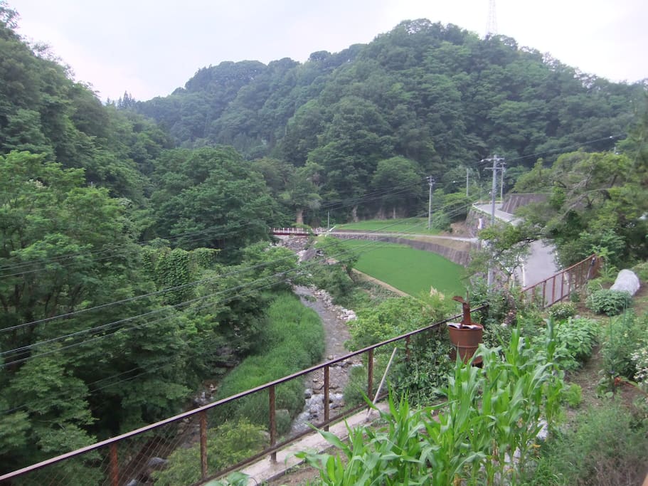 客室からは家が一軒も見えないフルに自然な景観