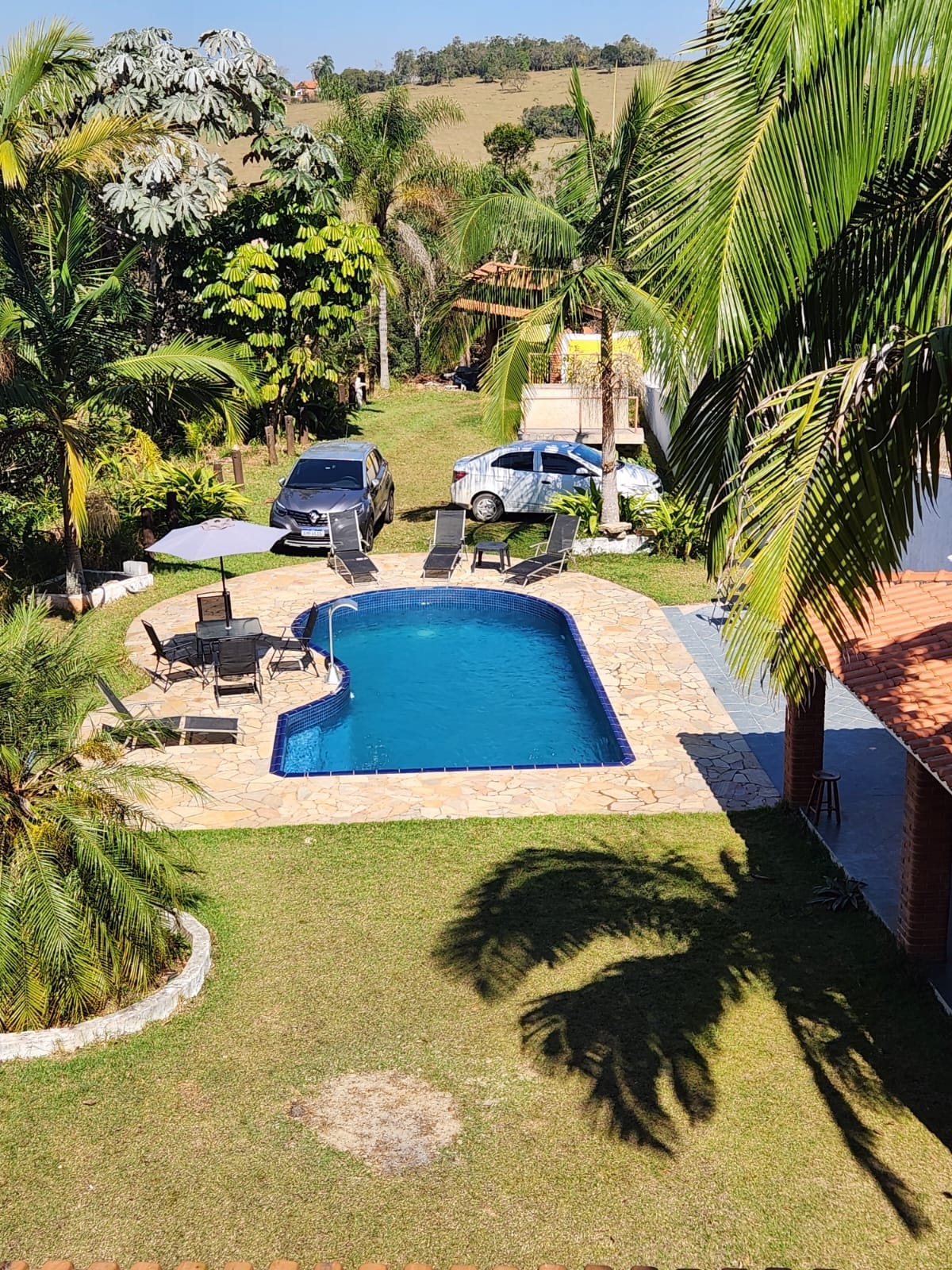 A serene outdoor space features a rectangular pool surrounded by a stone patio. Lounge chairs are positioned on one side, while an umbrella provides shade. Lush greenery and tall palm trees frame the area, creating a refreshing atmosphere in a natural setting.