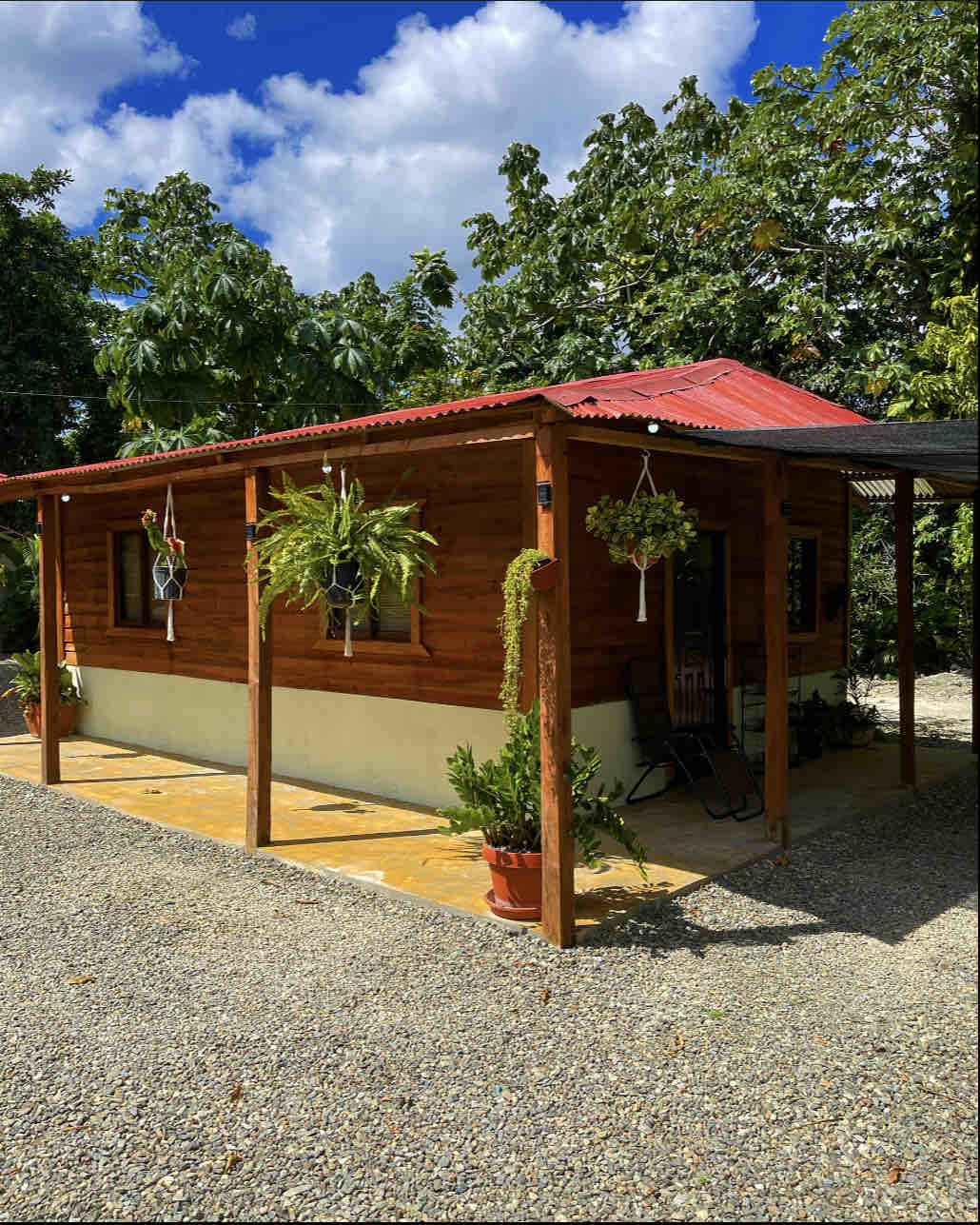A wooden cabin with a red metal roof is framed by lush greenery. The front porch features hanging plants and a potted plant. Pebbled pathways lead to the entrance, creating a welcoming and natural atmosphere.