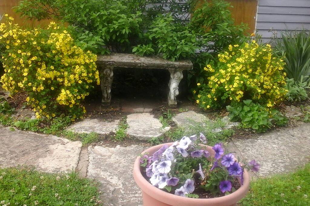 Summertime garden