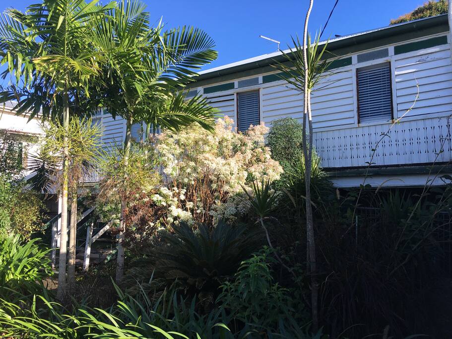 Front garden