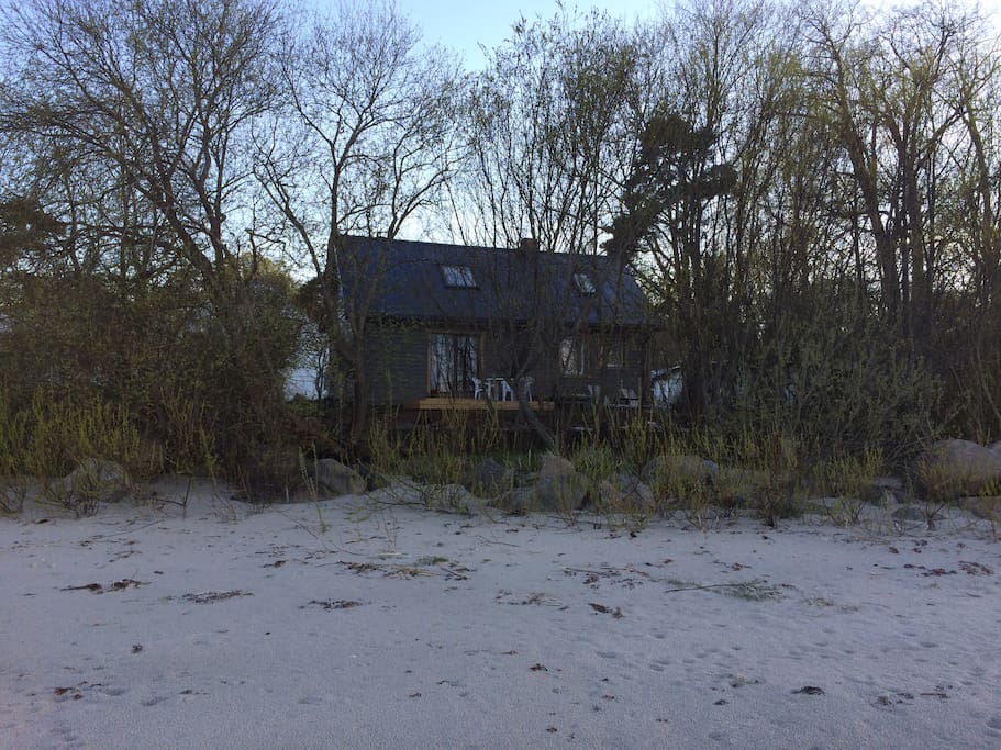 View from beach