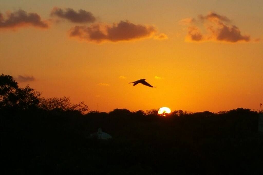 another beautiful sunset