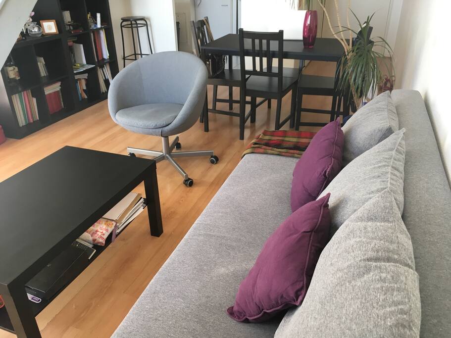 Salon avec un canapé pliable + kitchenette