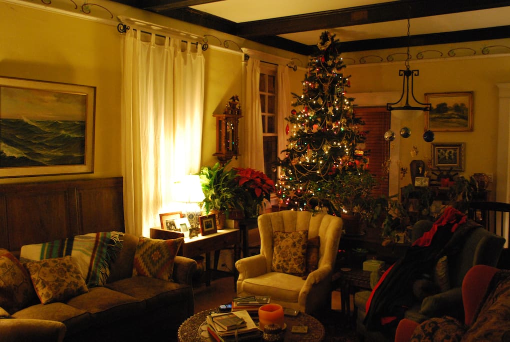 Chirstmas Shot