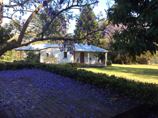 Stockman's Cottage, Historic Dyraaba Station