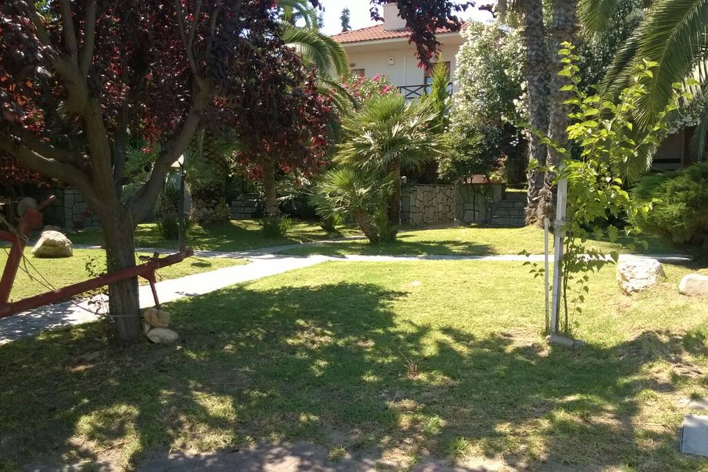 Part of communal garden