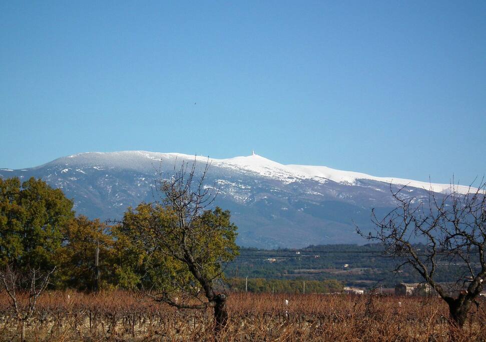Vue sur le Mont-Ventoux