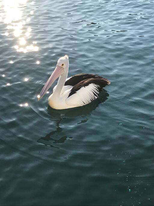 One of the neighbours.