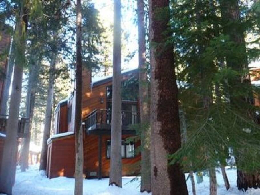 Cabin in the wood
